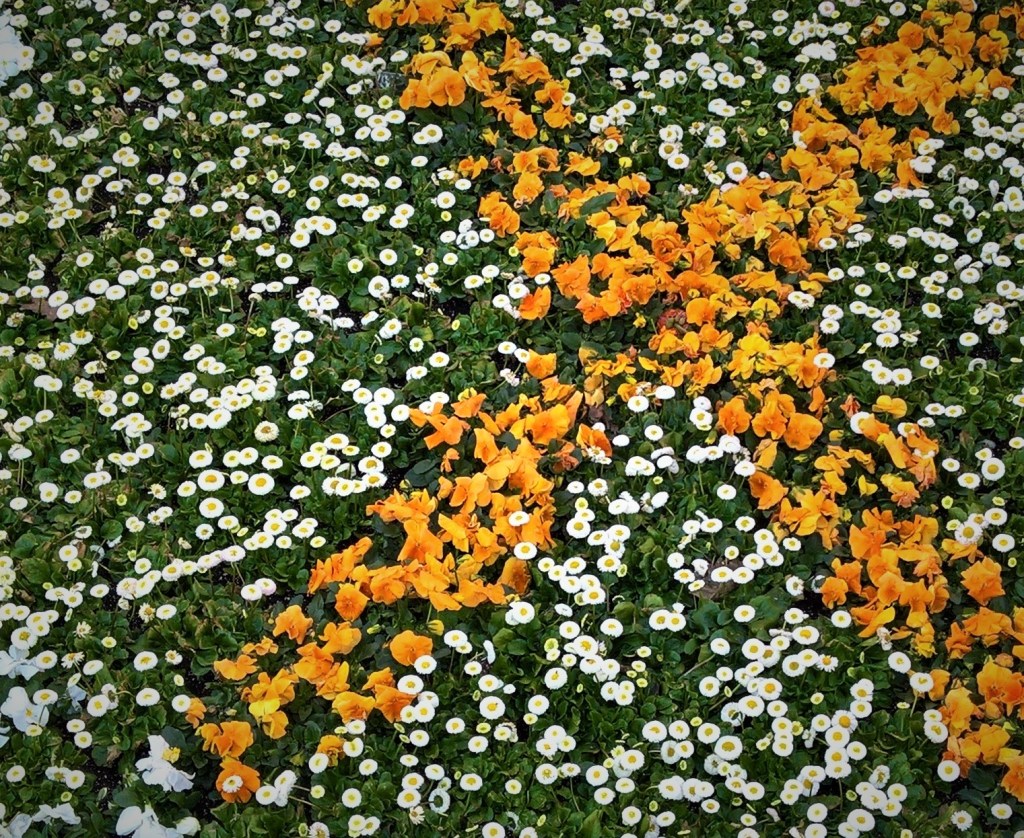 THE BLOG ACCOMPANYING MARBURG’S THEME FOR 2020:&nbsp;ANDERSARTIG