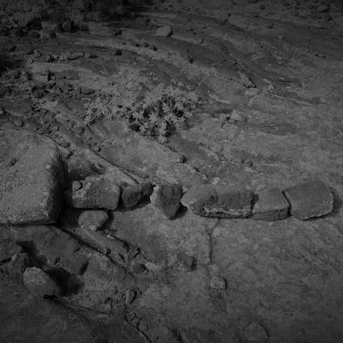 FRAGMENT Nr. 7: „…eine ‚striga‘ sei und Menschen&nbsp;verzehre…“