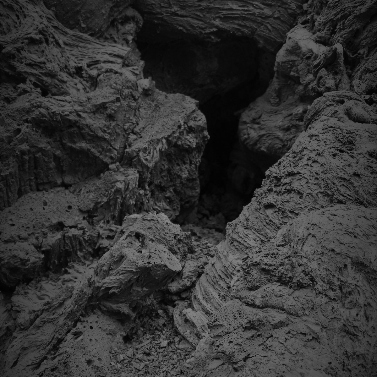 FRAGMENT Nr. 8: „… als man die Wirwettzen&nbsp;brante.“