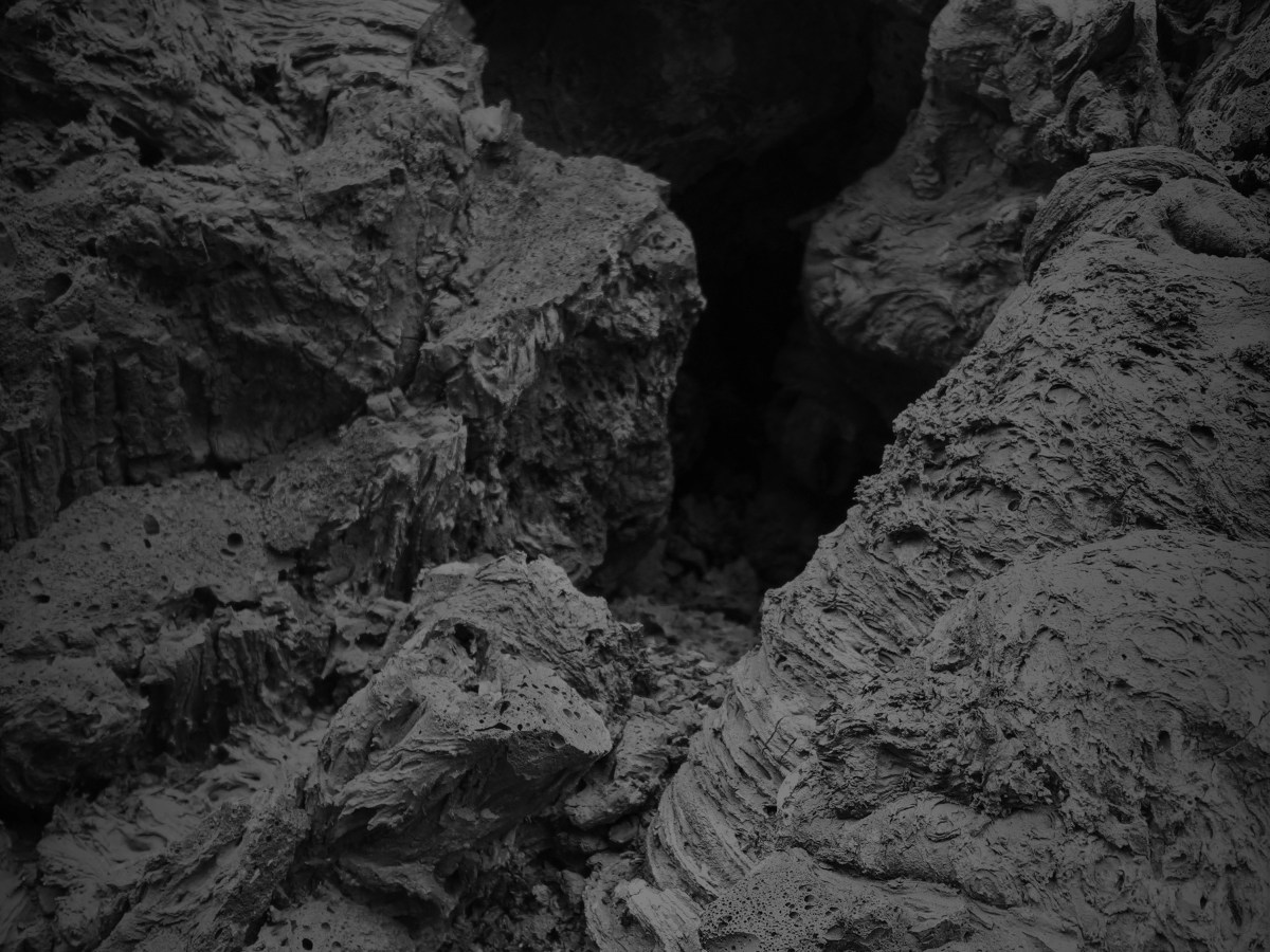 SIND SIE AUF DER&nbsp;SUCHE?