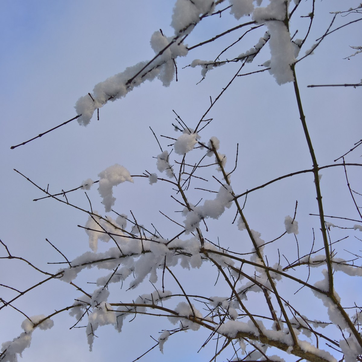 FRAGMENT Nr. 11: Starhawk über Feminismus und&nbsp;Verantwortung