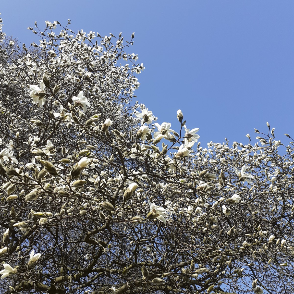 FRAGMENT Nr. 9: „That bitch, that witch, she’s&nbsp;back.“